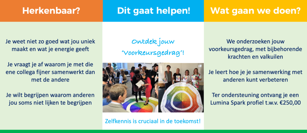 Lumina Spark workshop