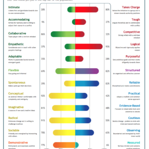 Lumina Spark profile FULL - Tomorrow's Leadership